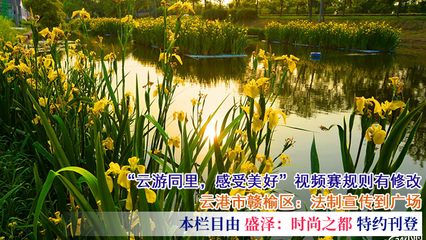 江苏24小时·滚动推送|昆山市:种植水生植物改善水环境